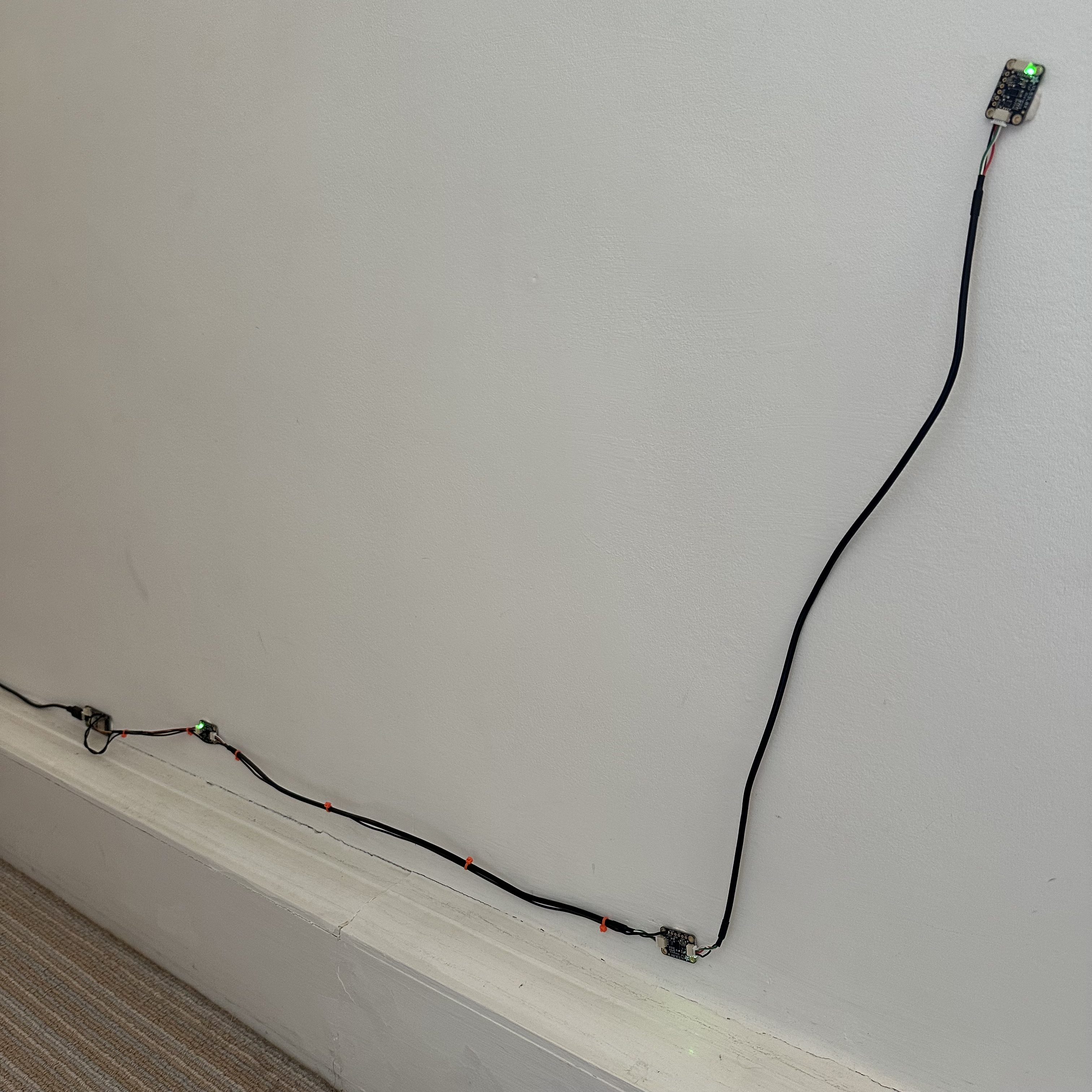The Ada Detection Apparatus in situ